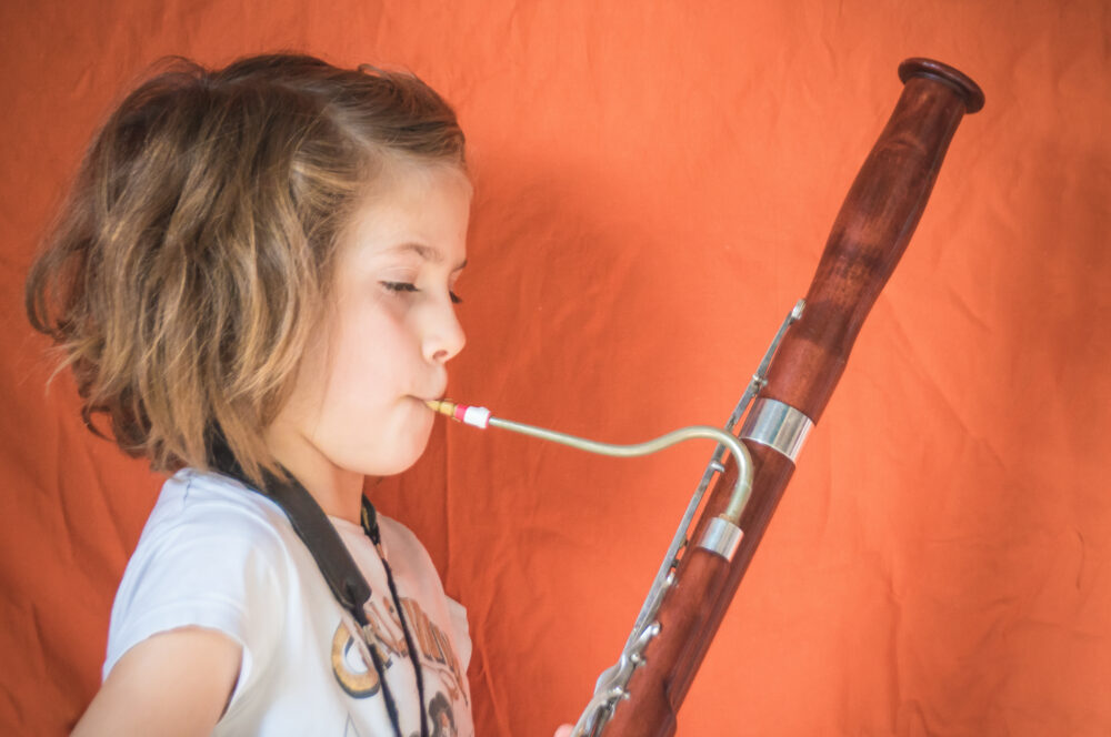 Why the Bassoon is the Most Interesting Instrument in the World