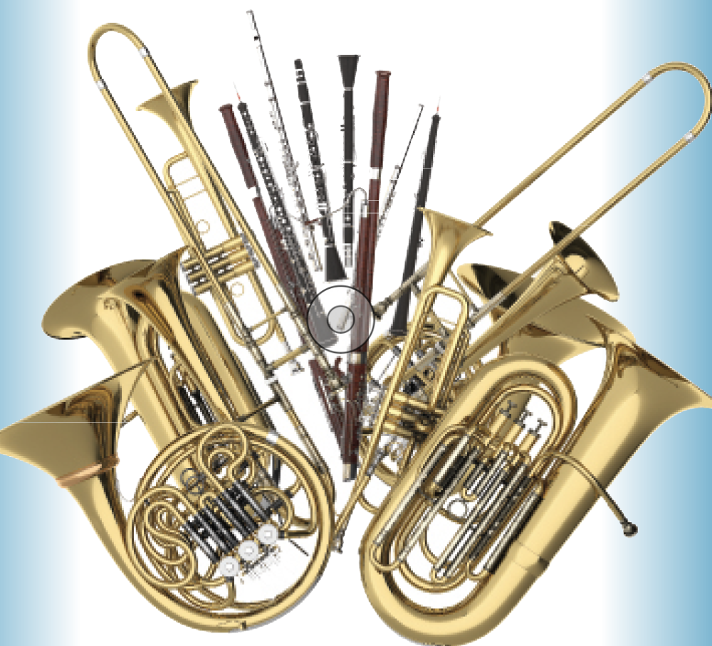 Trends and Changes in Today’s Wind Orchestra Scene